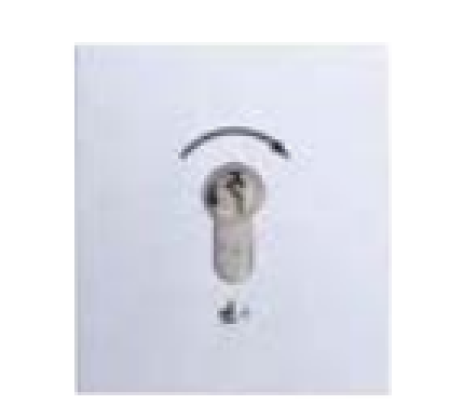 Selve ➤  Schlüsseltaster✓ Unterputz,✓  #294400 ✅ online kaufen!