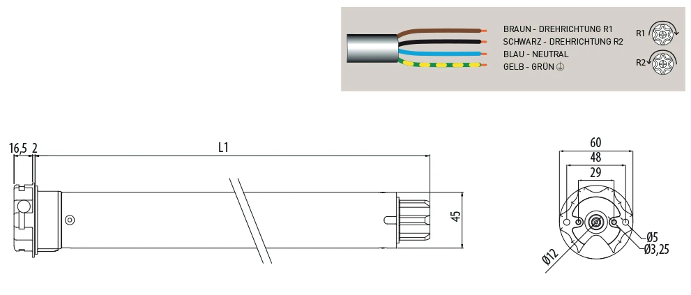 Cherubini Ersatz-Motor für Lumen S-RX lose #A4508_0U53