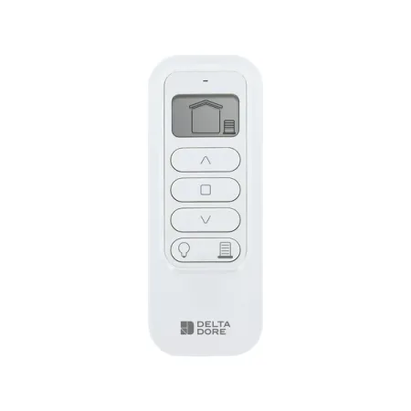 Delta Dore TYXIA 1716 2-channel radio remote control #6351442