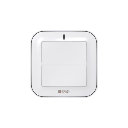 Delta Dore TYXIA 2310 Funksender 2-Tasten, Hausautomationen #6351380
