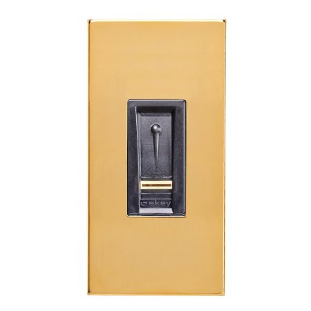 ekey Dekorelement FS IN GO Gold #101303