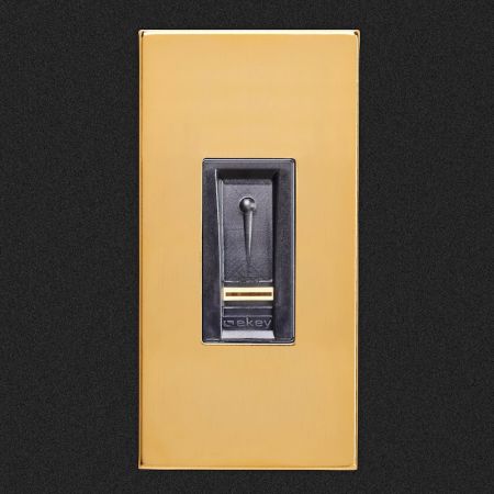 ekey Dekorelement FS IN GO Gold #101303