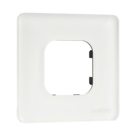 ekey ➤ xLine Rahmen 1-fach satiniertes Glas #203105✅ online günstig kaufen!