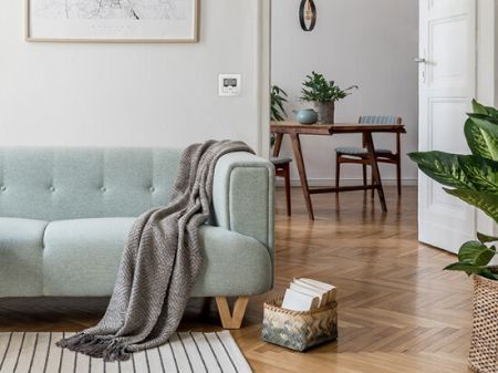 Rademacher Troll Standard (inkl. Abdeckrahmen), Aluminium Typ 5620-AL #36500322