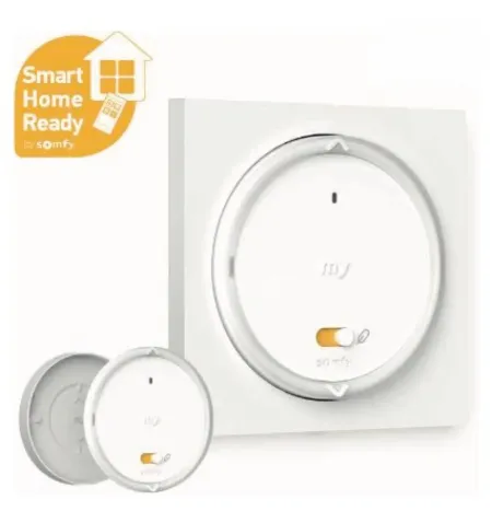 Somfy ➤ Amy 1 RS100 io Funksender und Rahmen #1871101✅ online günstig kaufen!