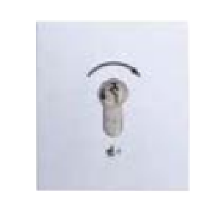 Selve ➤  Schlüsseltaster✓ Unterputz,✓  #294400 ✅ online kaufen!