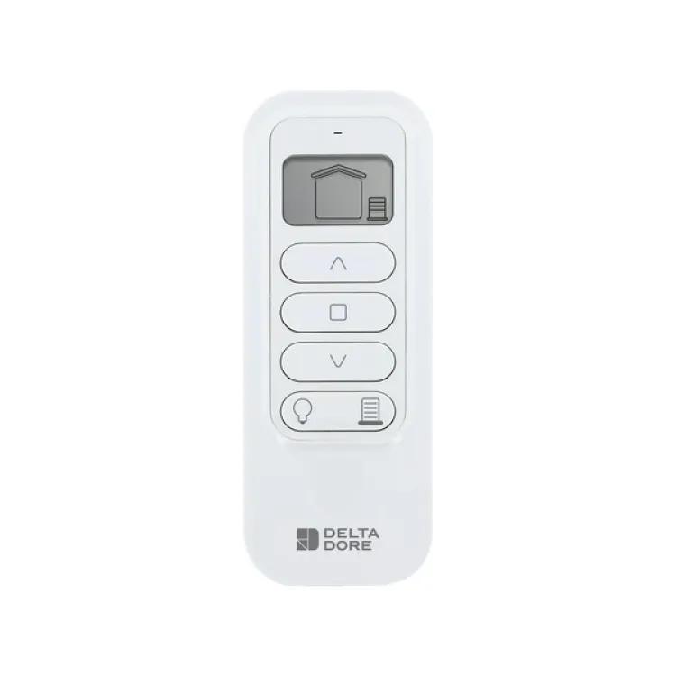 Delta Dore TYXIA 1716 2-channel radio remote control #6351442
