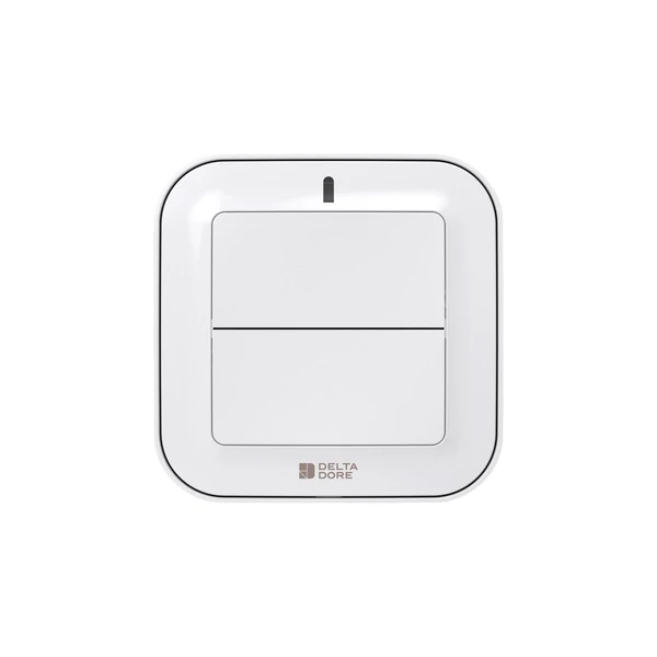 Delta Dore TYXIA 2310 Funksender 2-Tasten, Hausautomationen #6351380
