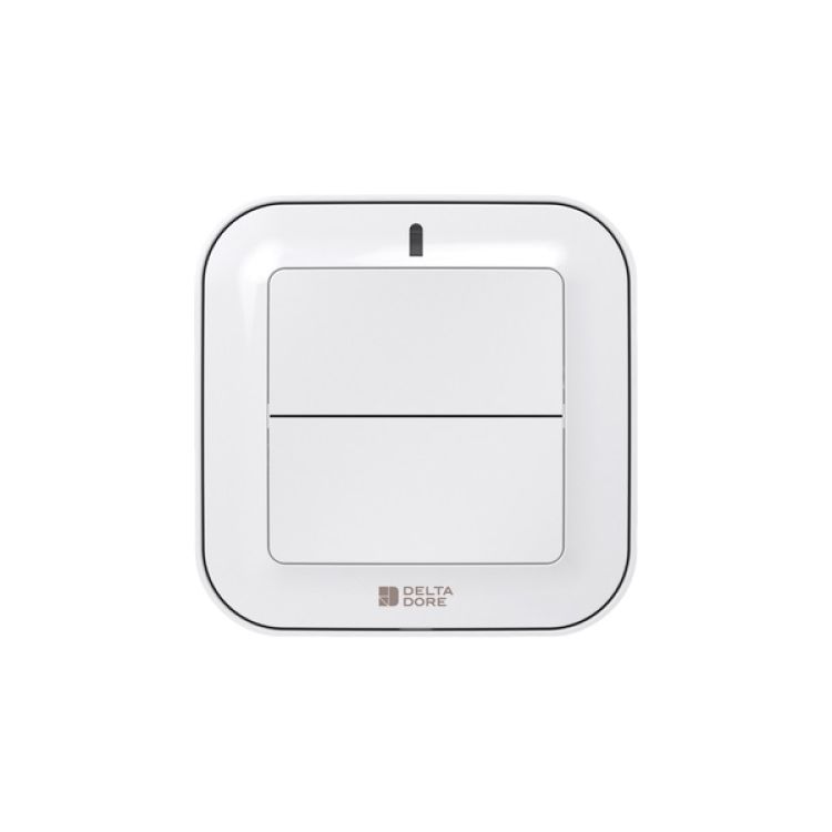 Delta Dore TYXIA 2310 Funksender 2-Tasten, Hausautomationen #6351380