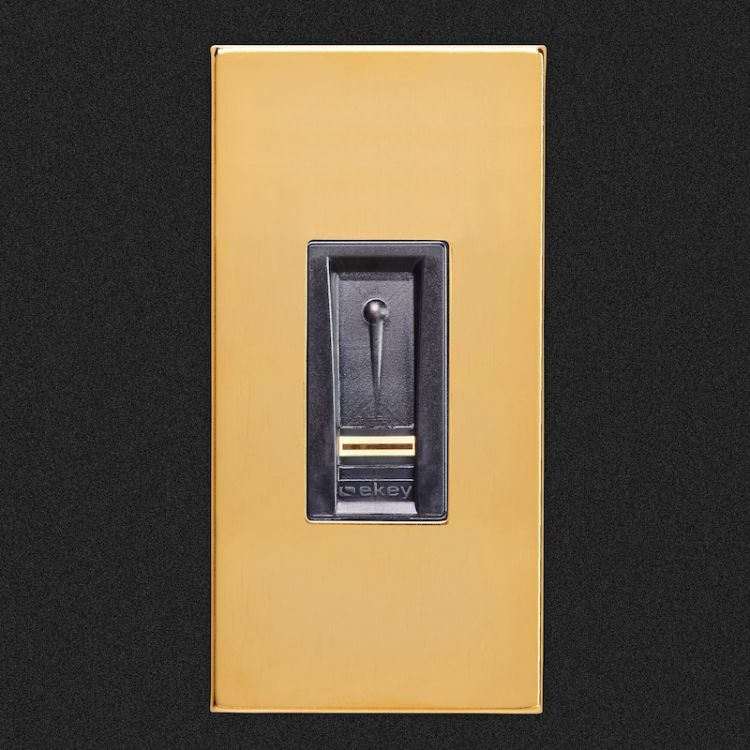 ekey Dekorelement FS IN GO Gold #101303