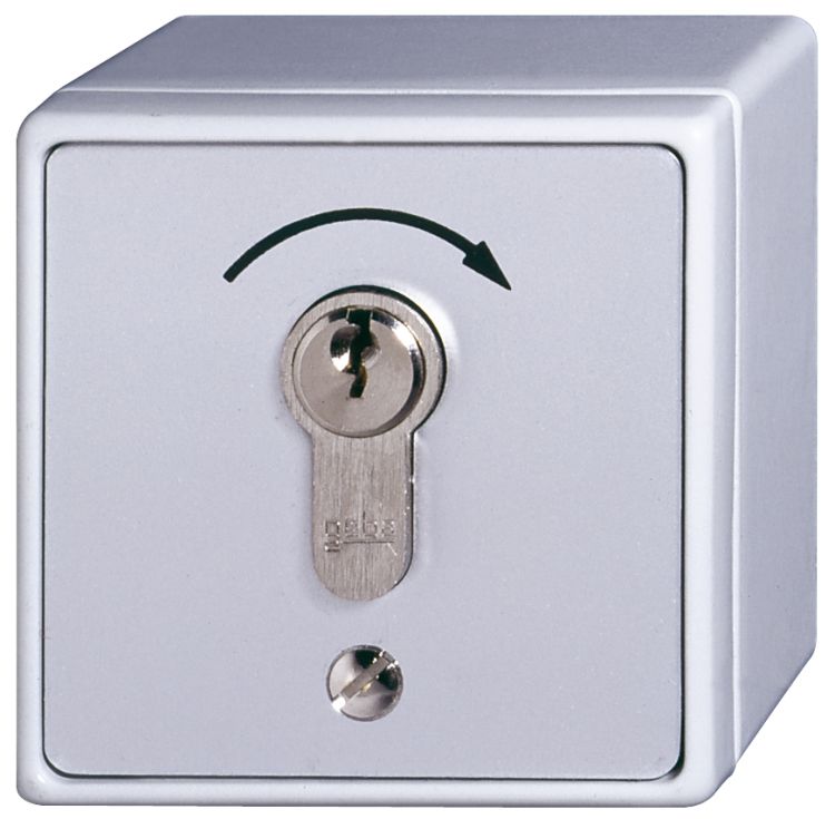 SELVE ➤ Schlüsseltaster Aufputz #294401✅ online günstig kaufen!