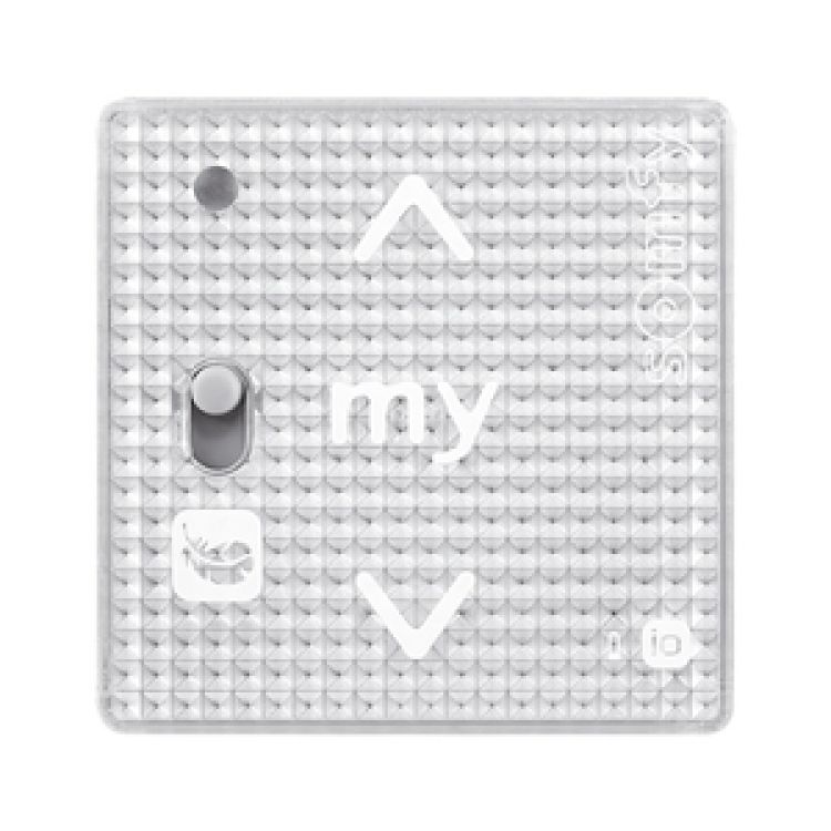 Somfy Smoove RS100 IN io 1-Kanal Funkwandsender #1811318 #1811319 #1811320