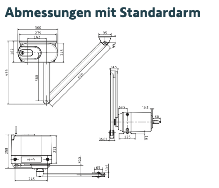 Somfy ➤ Axovia Multi Pro 3S io Komfort-Set Drehtormotor #1216500✅ online günstig kaufen!
