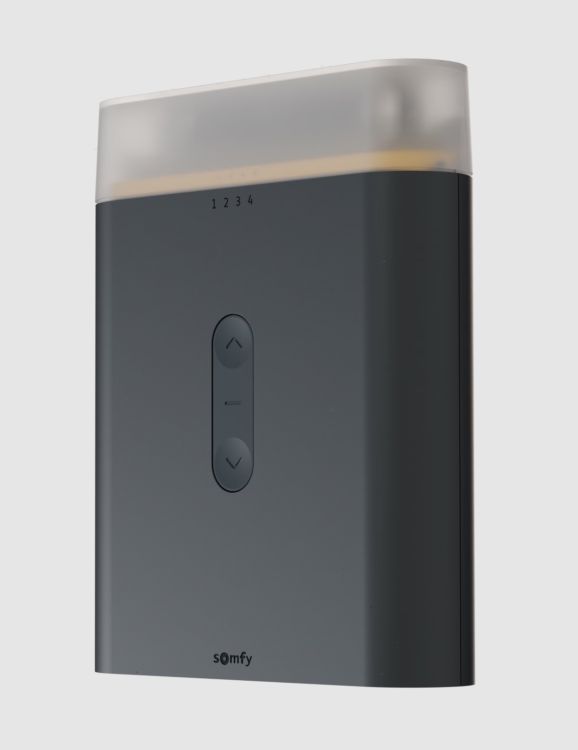 Somfy ➤ Rollixo io Premium Rolltorsteuerung #1871485✅ online günstig kaufen!