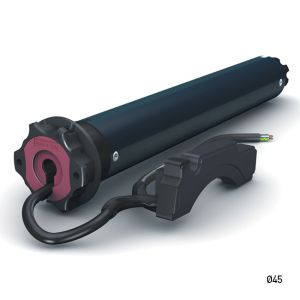 Cherubini ➤ P&P 6/17 