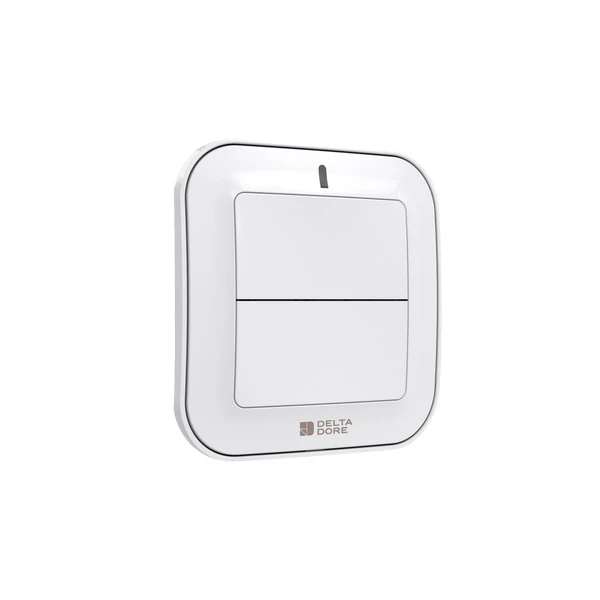 Delta Dore TYXIA 2310 Funksender 2-Tasten Hausautomationen 6351380