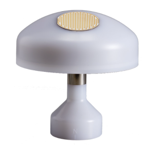 Somfy ➤ animeo Wetterstation M13 (1B) #1871302✅ online günstig kaufen!