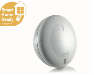 Somfy ➤ Thermis WireFree II io Temperatursensor #1870848✅ online kaufen!